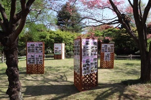 学校花はなプランパネル展示