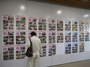 花はなプランパネル展示