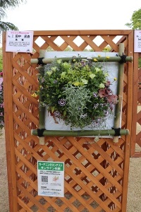 ハンギングバスケット部門最優秀作品