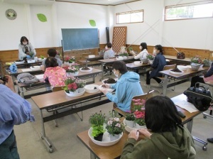 自然素材のかごで春の寄せ植え