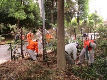 山野草ガーデンから伐木の運び出し