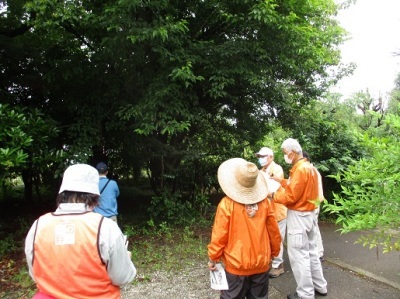 樹木ガイド講習会