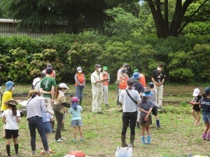 田植え体験