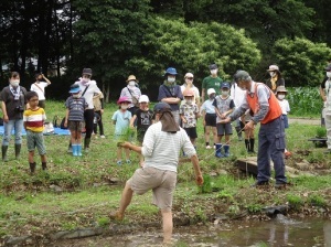 田植え体験