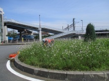 武川駅整備活動