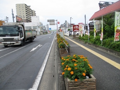 国道17号活動