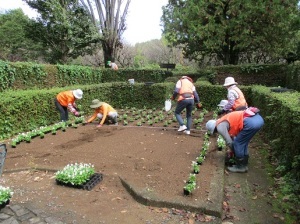 サンクンガーデン植栽