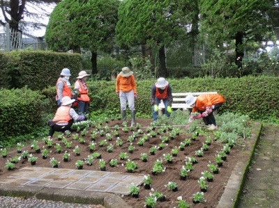 サンクンガーデン植栽