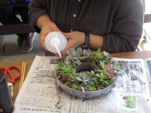 多肉植物を使ったリース作り教室