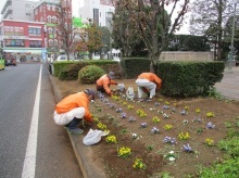 ステイションガーデンの除草活動