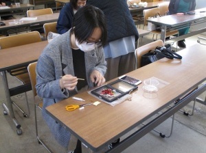 透けるフレームアレンジメント