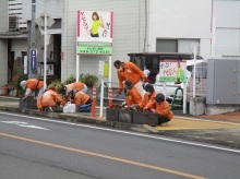 駅通りプランターの除草