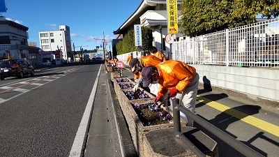 国道17号プランターの花がら摘み