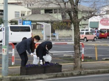 駅通りプランターの除草