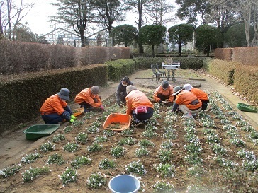 サンクンガーデン除草