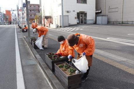 駅通りプランターの除草