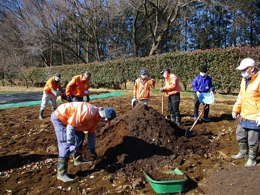 牛糞堆肥の散布