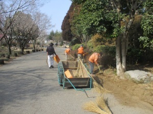 ハナミズキ通りの清掃