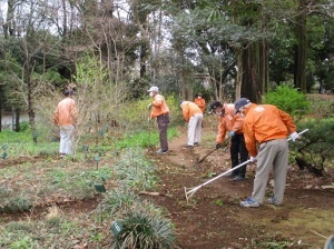 山野草ガーデン整備