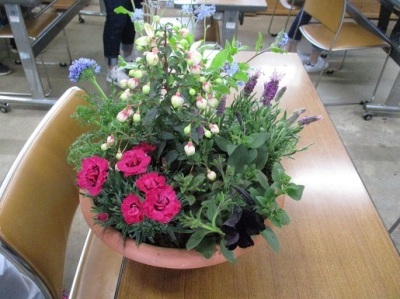初夏の草花を使った寄せ植え教室