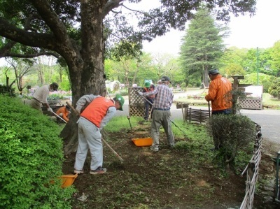 除草活動