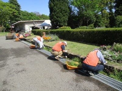 ロックガーデンの除草活動