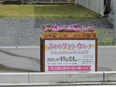 市役所通り花の装飾