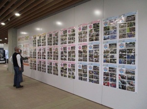 学校花はなプランパネル展示