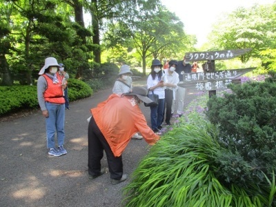 樹木・草花ガイドツアー