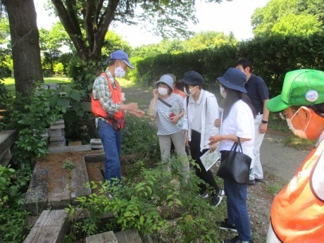 樹木・草花ガイドツアー