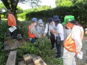 樹木・草花ガイドツアー