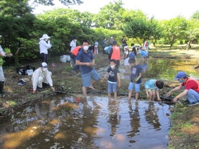 田植え体験