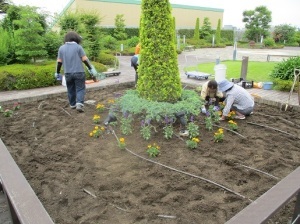 植栽活動