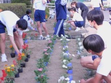 幡羅中学校