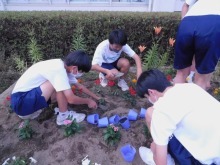 幡羅中学校