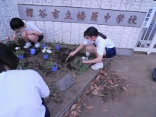 幡羅中学校