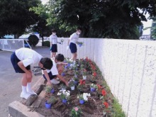 幡羅中学校