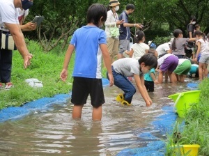 どじょうのつかみどり体験