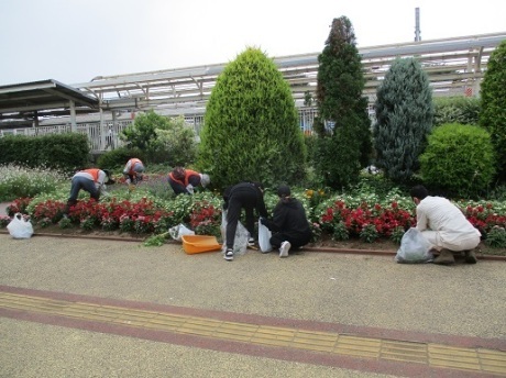 ステイションガーデン除草