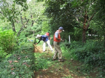 山野草ガーデン除草活動