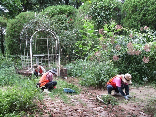 ヒーリングガーデン整備作業