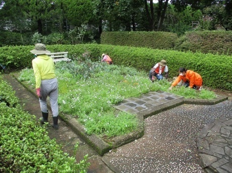 サンクンガーデン整備