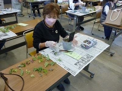 多肉植物の寄せ植え教室