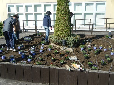 天空の散歩道植栽