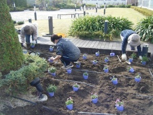 天空の散歩道植栽