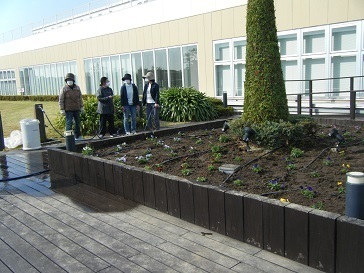 天空の散歩道植栽