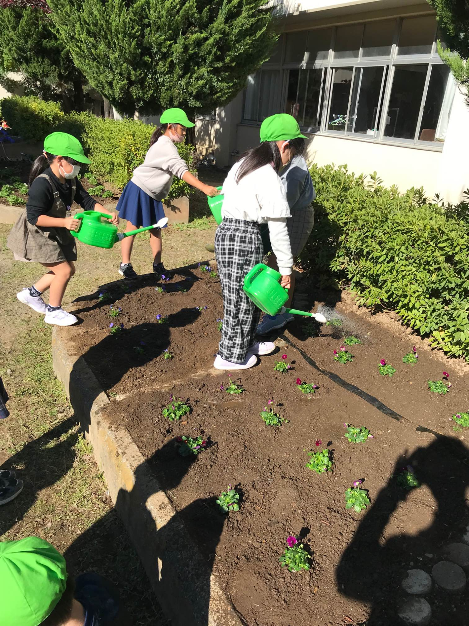 常盤小学校