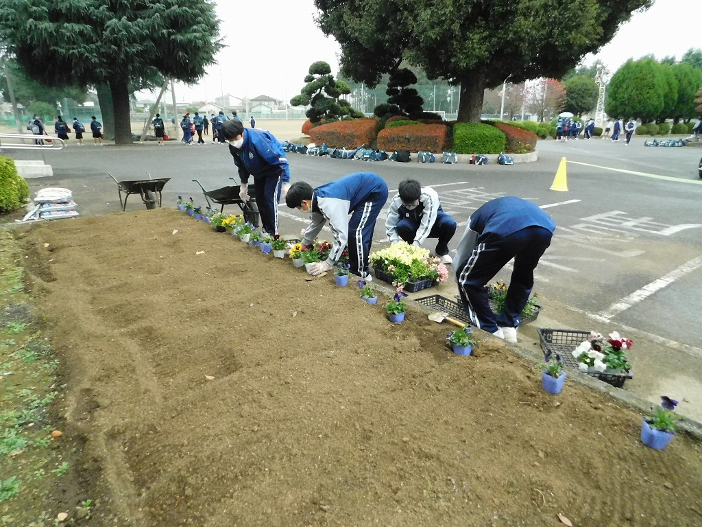幡羅中学校