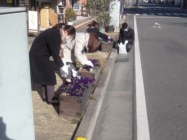 深谷駅通りのプランターの除草と花がら摘みを行いました