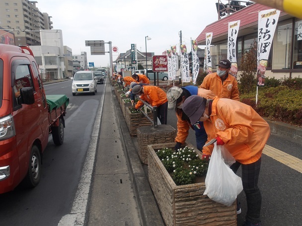 国道17号プランターの除草と花がら摘みを行いました